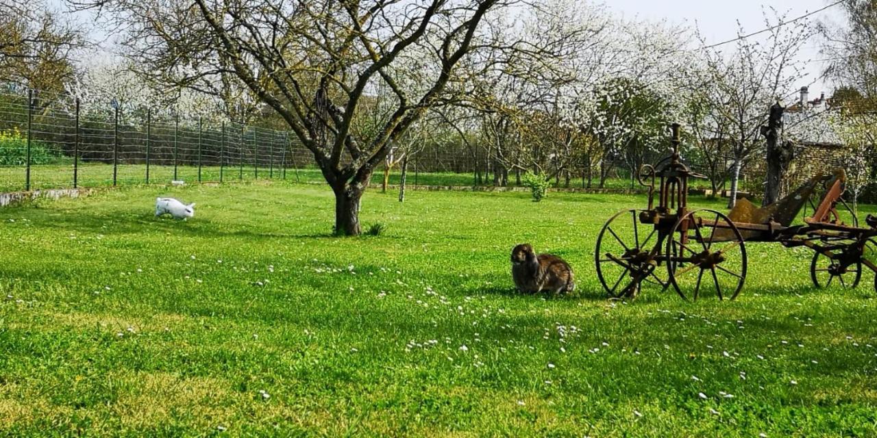 La Ferme Du Grand Bois Lägenhet Mouterre-Silly Exteriör bild